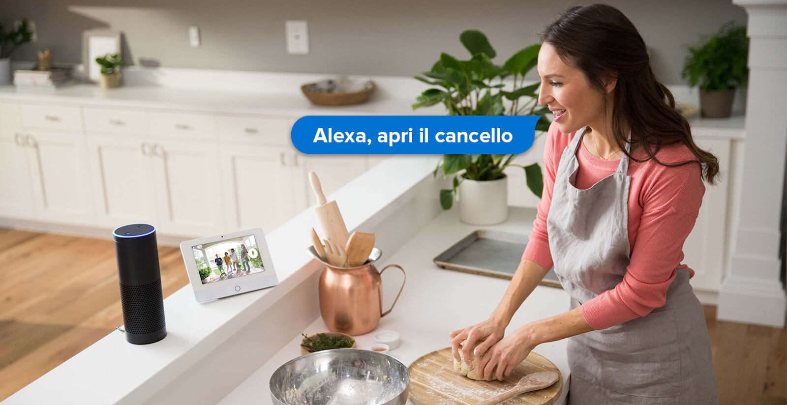 LINK Bridge Wi-Fi und Bluetooth verbindet das Internet mit den lokalen 1Control Geräten